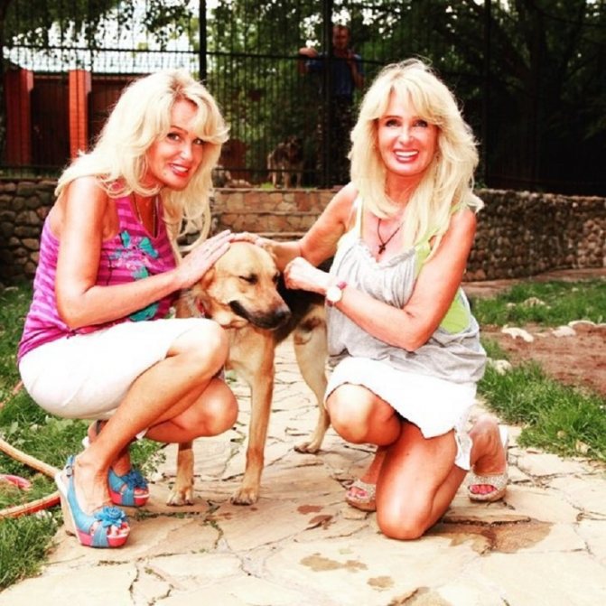 Сестры Зайцевы. Биография. Фото в молодости. Мужья и дети. Чем знамениты